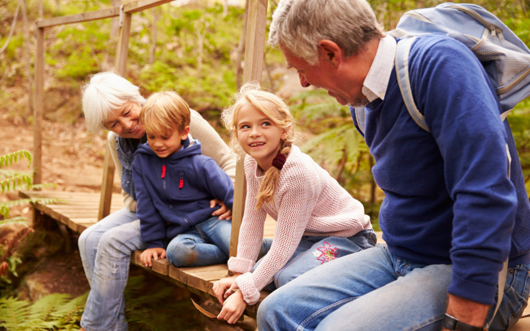 A Picture Perfect Life